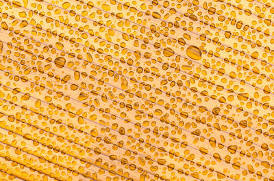 Full frame shot of orange water