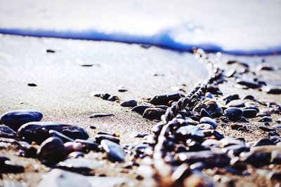 Surface level of pebbles on beach