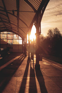 sunlight