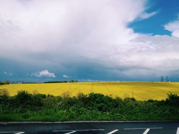 Road passing through field