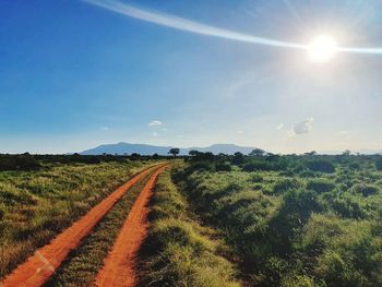 Scenic view of field against bright sun