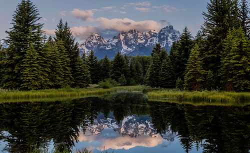 Scenic view of lake by trees against sky