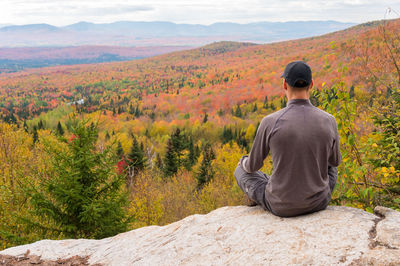 Rear view of man sitting on rock at forest