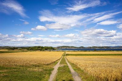 Scenic view of agricultural field against sky