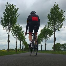 People cycling on road