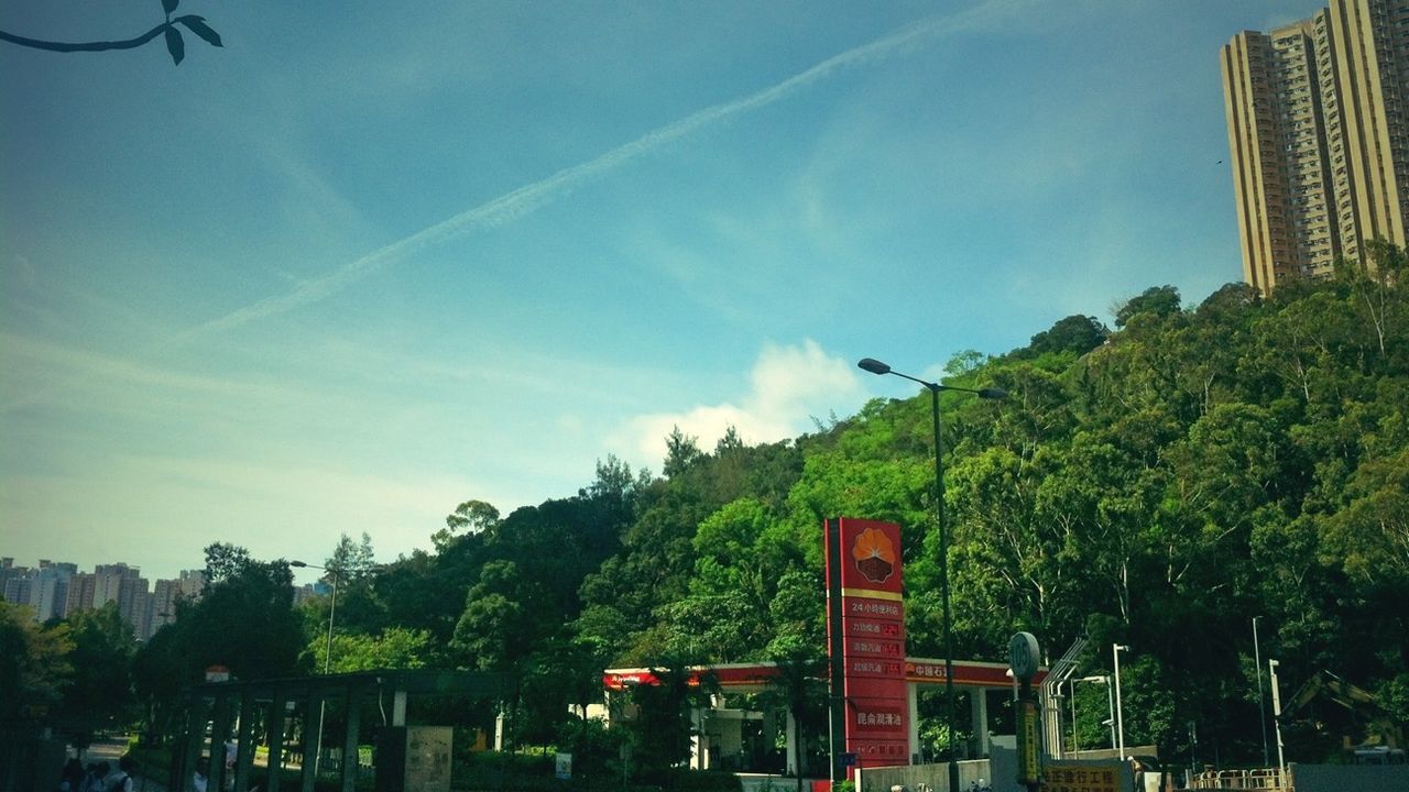 VIEW OF TREES AGAINST BLUE SKY AND CLOUDS