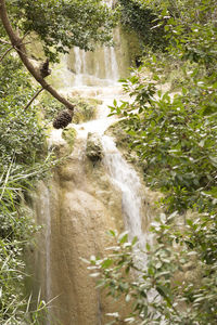 Scenic view of stream flowing through rocks