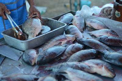 Close-up of vendor selling fishes in market