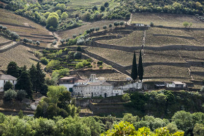 High angle view of trees on landscape