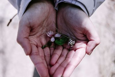 Close-up of hand holding plant