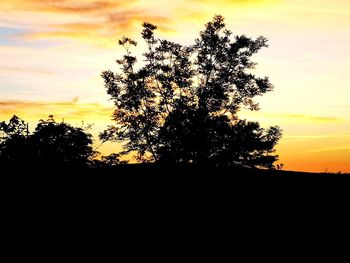 Silhouette trees on field against sky during sunset