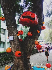 Close-up of lanterns hanging on tree