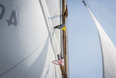 Low angle view of trees against sky