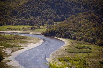 Road amidst trees and landscape