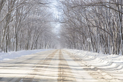 Snow covered road amidst trees during winter