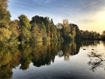 Scenic view of lake in forest against sky