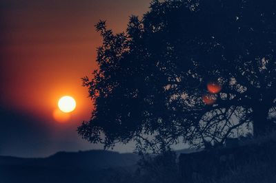 Silhouette tree against sky during sunset