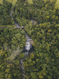 Aerial shot of zillie falls sourranded by lush green forest while a van driving through a bridge crossing in tropical queensland, australia