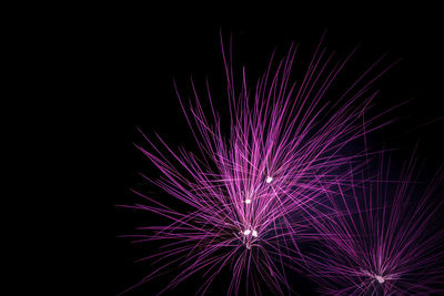 Low angle view of firework display against sky at night
