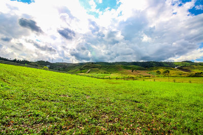 Scenic view of field against sky