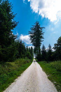 Road amidst trees against sky