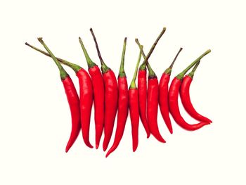 Close-up of red chili pepper against white background