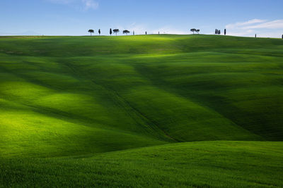 Scenic view of golf course against sky