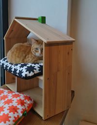 Portrait of cat relaxing on table at home