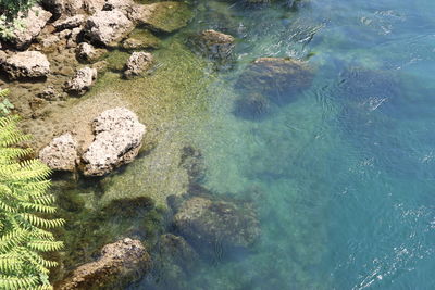 High angle view of rocks in sea
