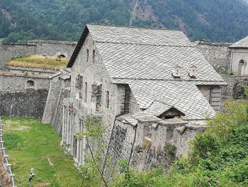 Plants growing on old building in field