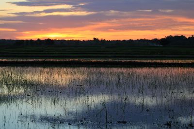 Scenic view of field against sky during sunset