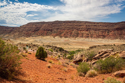 Scenic view of desert against sky