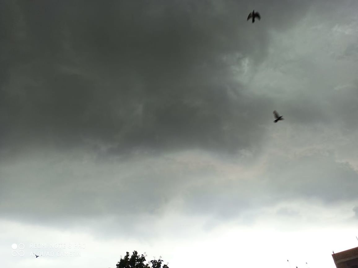 flying, sky, bird, cloud, animal themes, animal, wildlife, animal wildlife, nature, mid-air, low angle view, group of animals, silhouette, tree, no people, storm, overcast, outdoors, spread wings, day, storm cloud, beauty in nature, air vehicle, architecture, environment