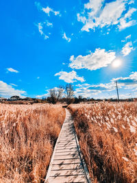 Dirt road amidst field against sky