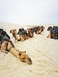 People resting on beach against sky