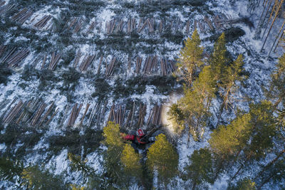 Harvest machine, harvester, logging, clearcutting, clear-felling in the forest in norrland.