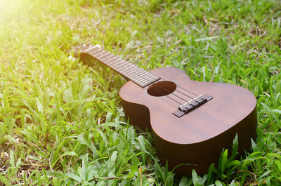 Close-up of guitar on field