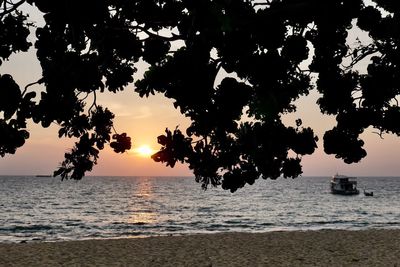 Silhouette trees on beach against sky during sunset