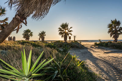 Scenic view of sea against clear sky