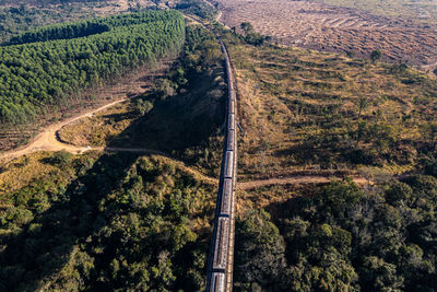 Bridge with train track over forest valley in the interior of brazil