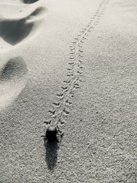 High angle view of footprints on sand