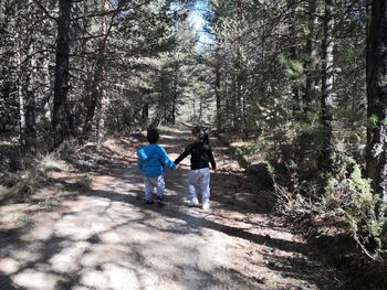 Rear view of people walking on footpath in forest