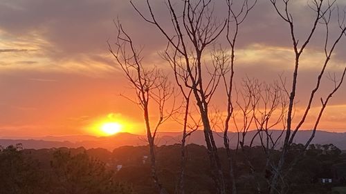 Silhouette bare trees on landscape against romantic sky at sunset