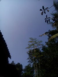 Low angle view of silhouette trees against clear sky