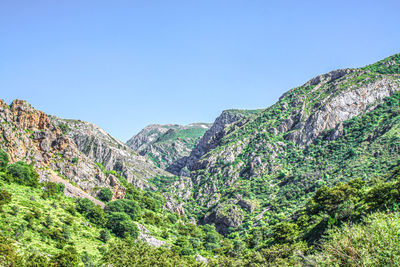 mountain