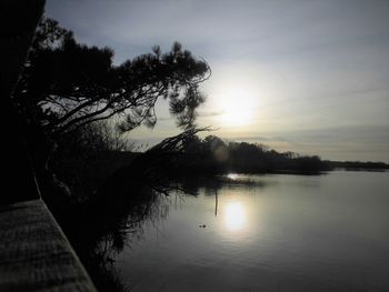 Silhouette tree by lake against sky during sunset