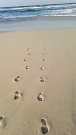 Close-up of footprints on sand at beach