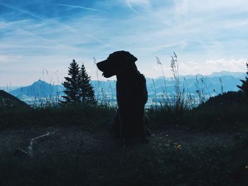 Silhouette dog on field against sky