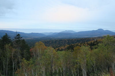 Scenic view of trees and mountains against sky