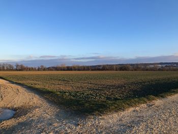 Scenic view of agricultural field against clear blue sky